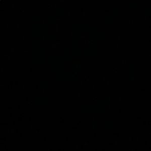 Meet your Posher, Lily